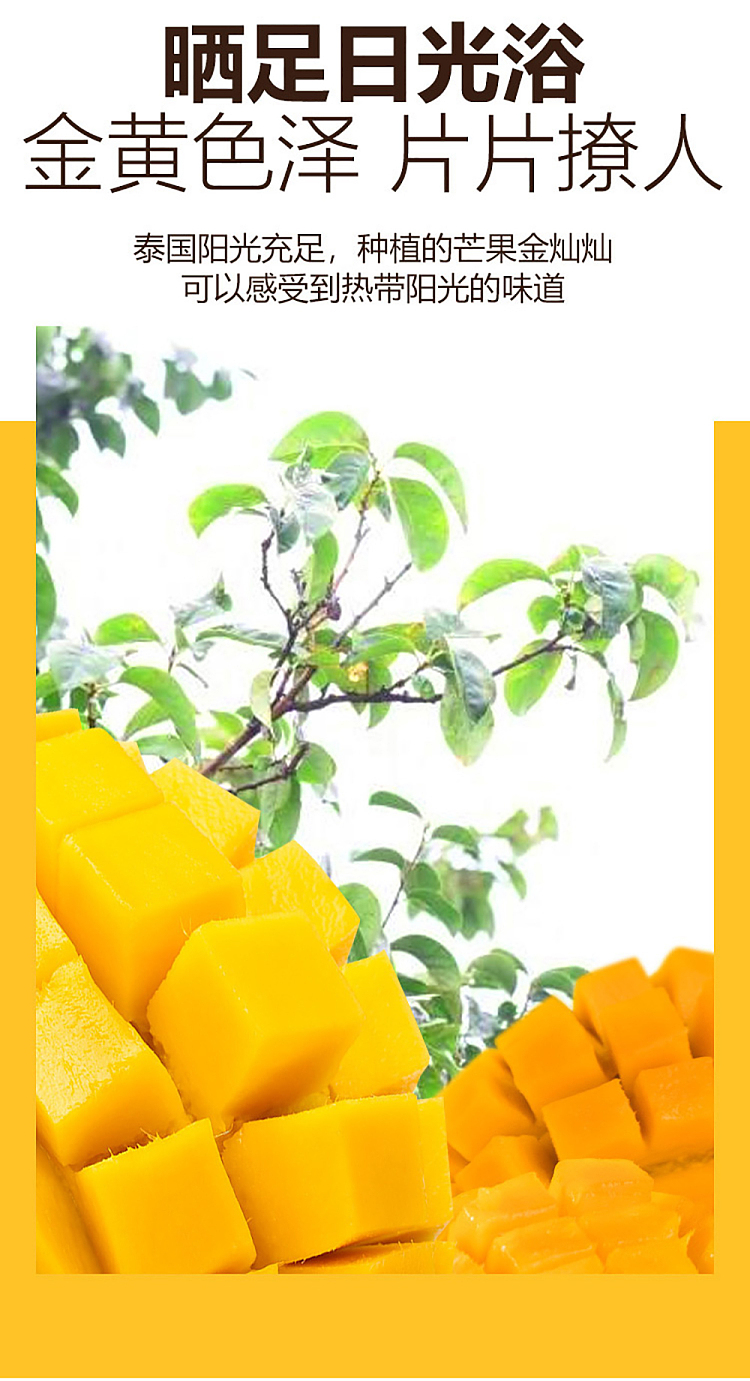 sams-buy-mm-imported-dried-mango-680g-3