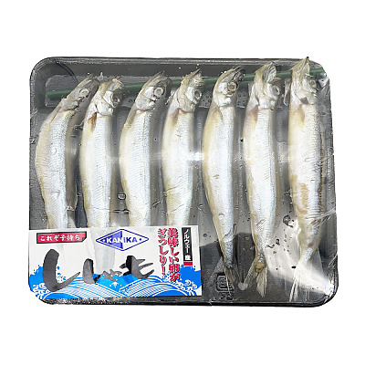 【冻】Kanika 毛鳞鱼 170g