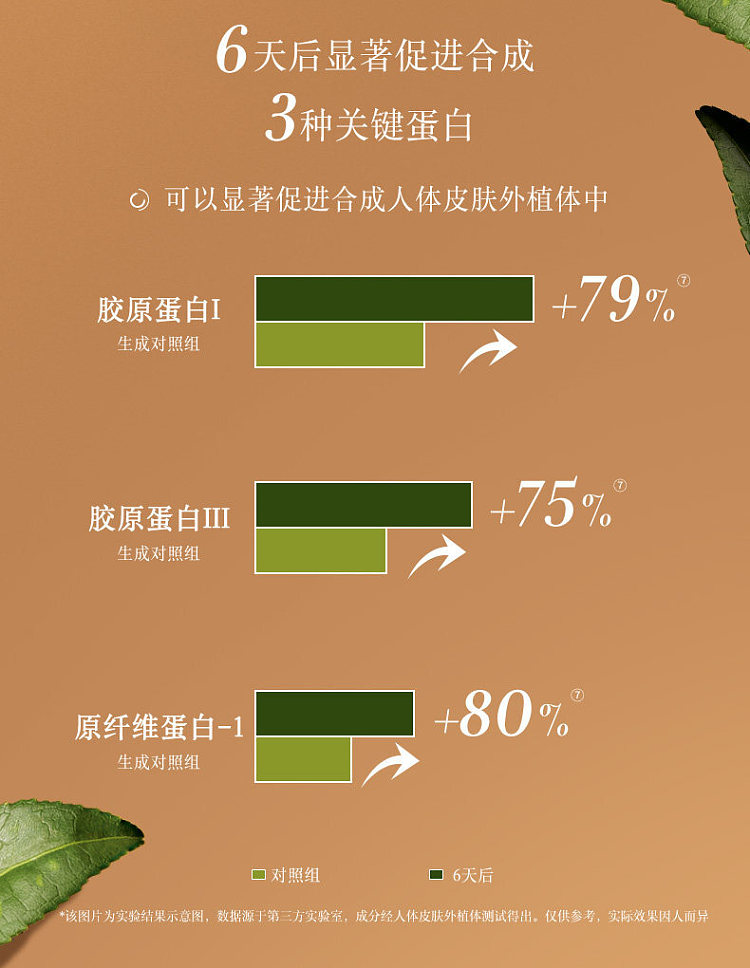 fresh-tea-firming-anti-wrinkle-cream-50ml-6