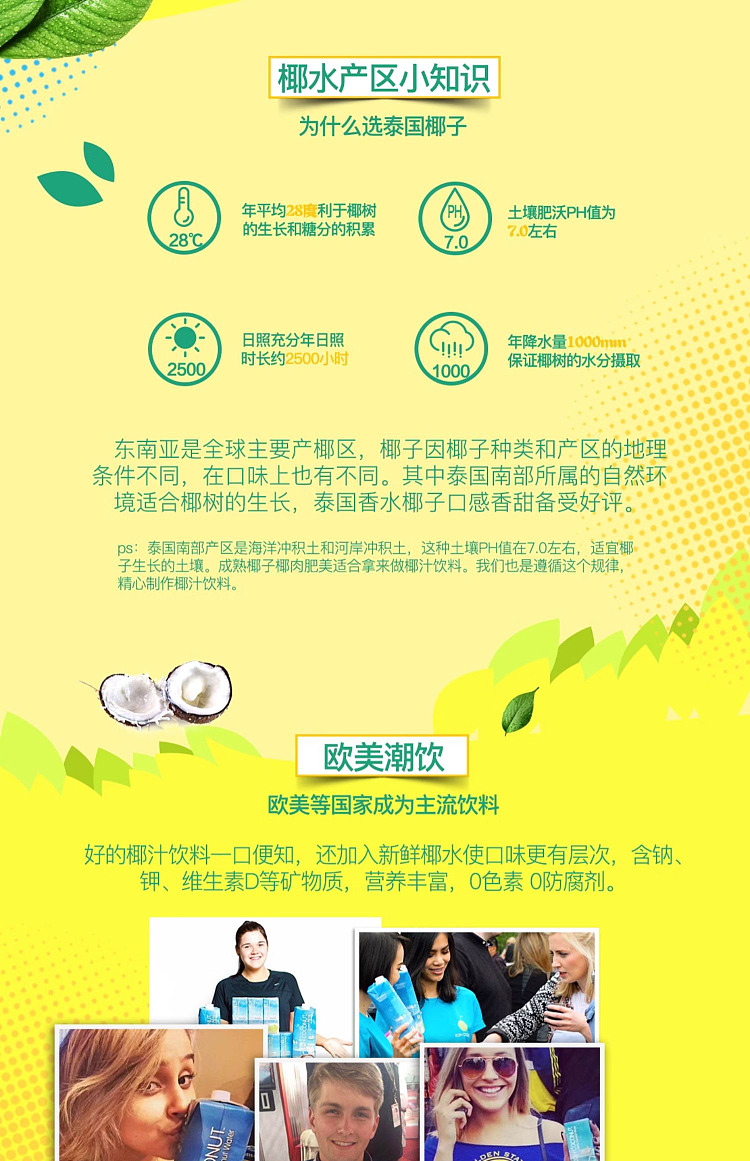 australia-exclusive-costco-china-cool-coconut-coconut-drink-1l6-4