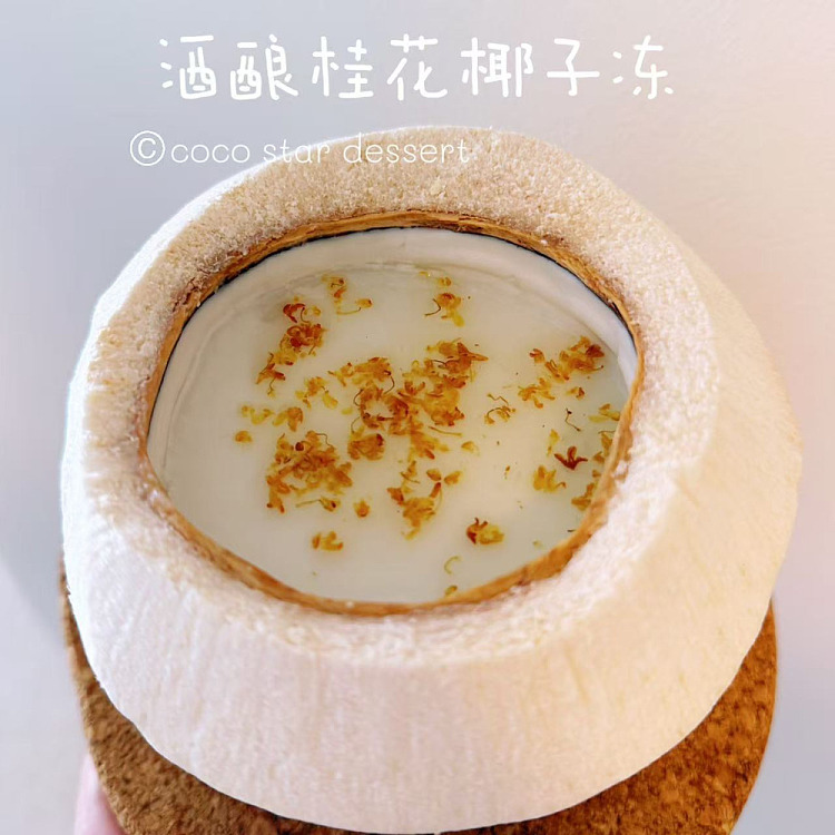 freshcoco-star-coconut-jelly-with-cinnamon-in-wine-800g-1