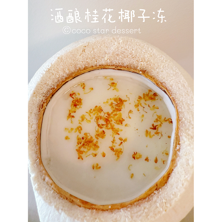 freshcoco-star-coconut-jelly-with-cinnamon-in-wine-800g-2