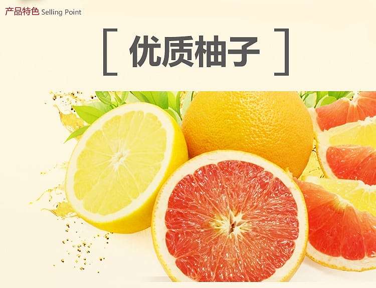 nokchawon-honey-pomelo-tea-480g-3