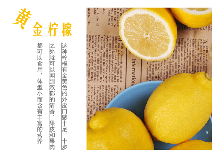nh-korea-honey-lemon-tea-1kg-2