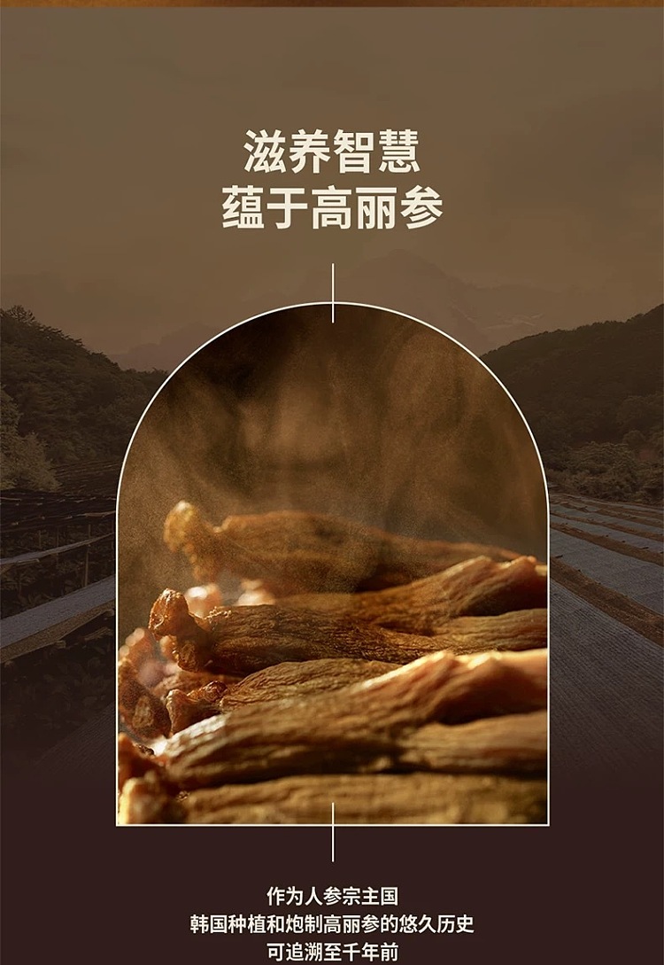 pre-sale-jeonggwangjang-red-ginseng-extract-plus-240g-bottle-2