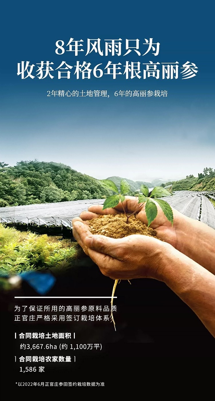 pre-sale-jeonggwangjang-wild-ginseng-root-slices-150g-box-8