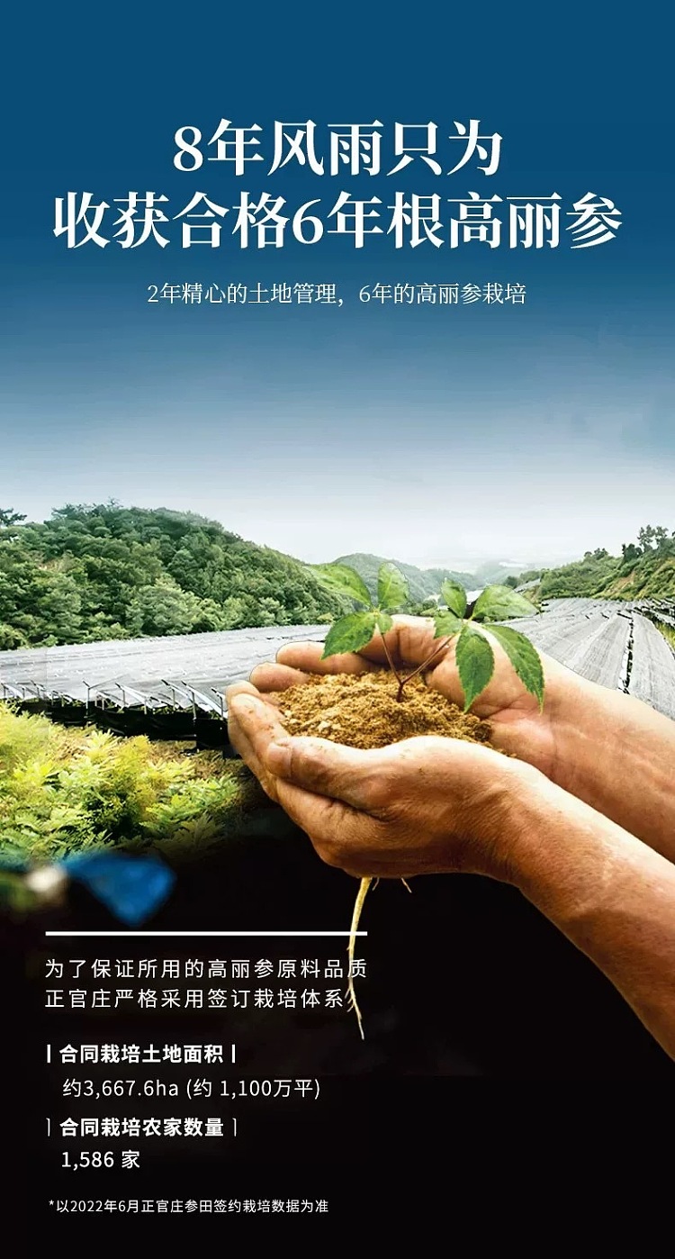 pre-sale-jeonggwangjang-premium-ginseng-whole-root-slices-150g-box-8