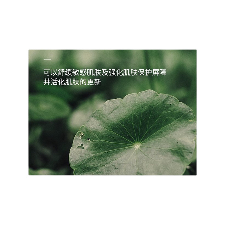 skin1004-madagascar-centella-asiatica-tea-tree-soothing-ampoule-serum-100ml-3