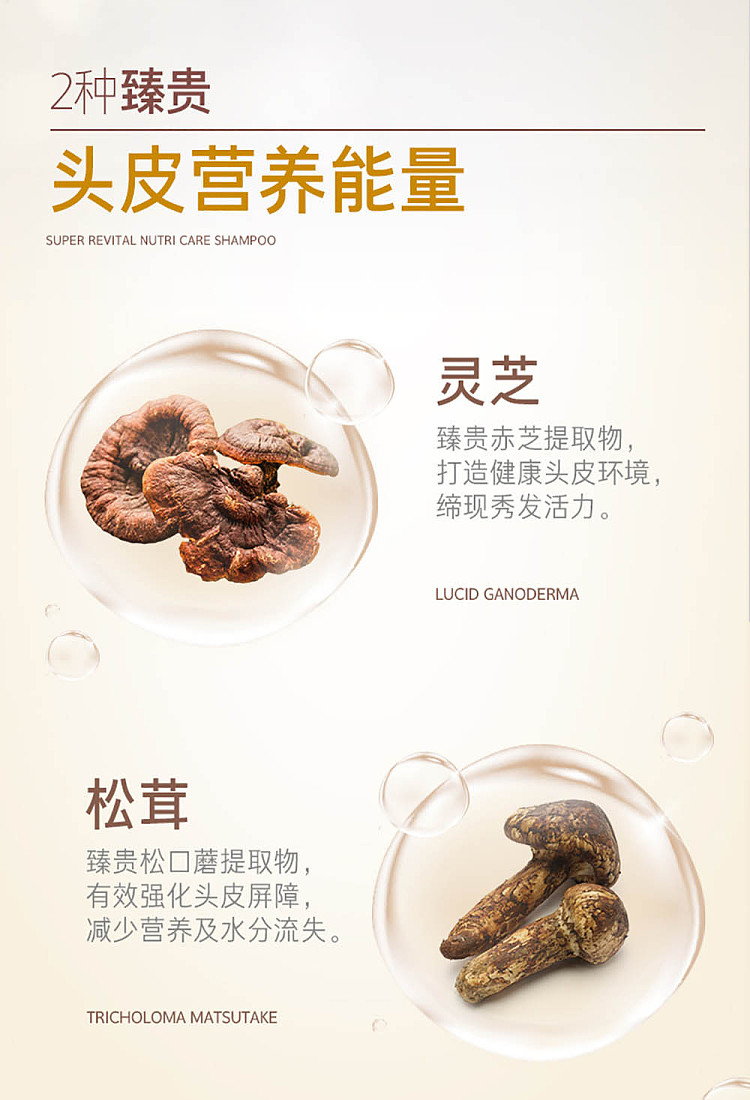 lv-hei-lv-zhen-ginseng-revitalizing-hair-shampoo-conditioner-400ml-each-6