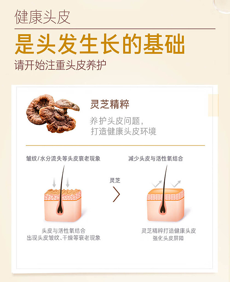 lv-hei-lv-zhen-ginseng-revitalizing-hair-shampoo-conditioner-400ml-each-7