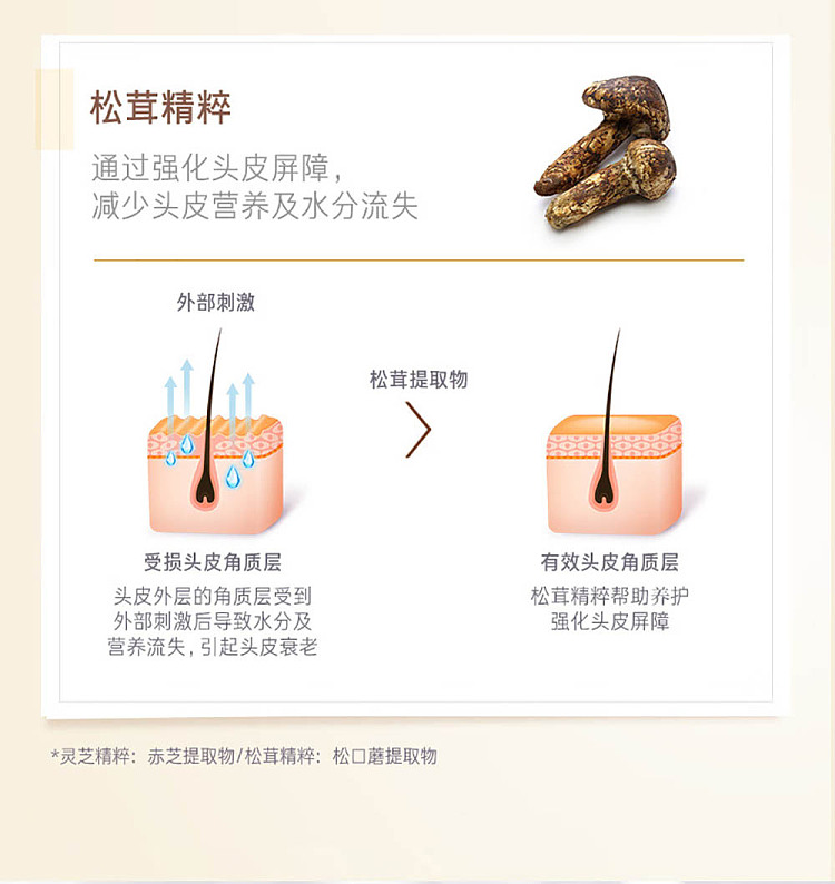 lv-hei-lv-zhen-ginseng-revitalizing-hair-shampoo-conditioner-400ml-each-8