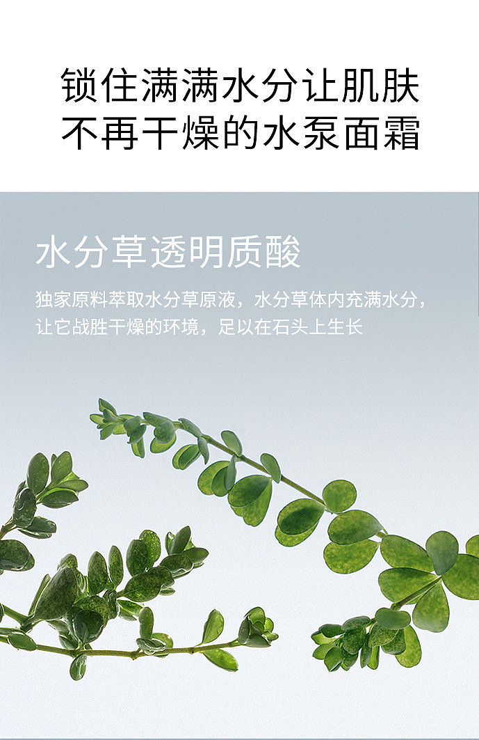 abib-hydrating-hyaluronic-acid-moisturizing-face-cream-80ml-9
