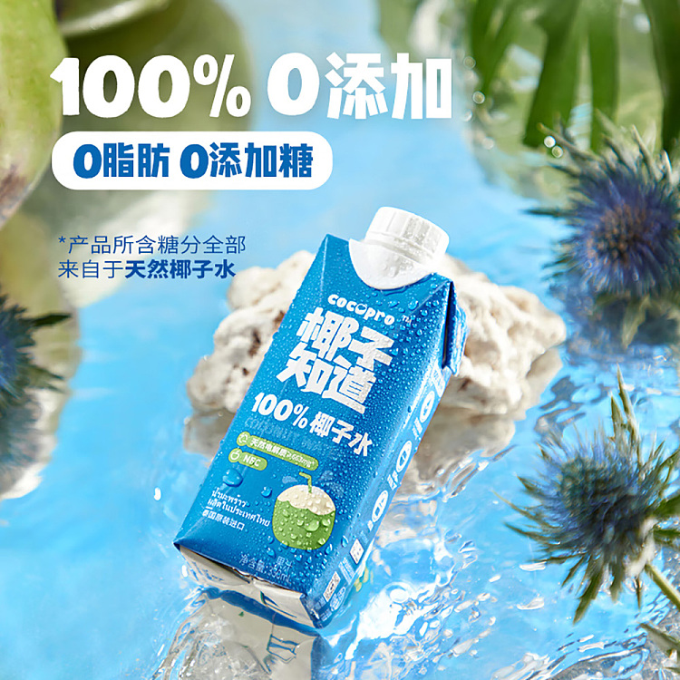 coconut-knowledge-100-coconut-milk-330ml12-bottles-5