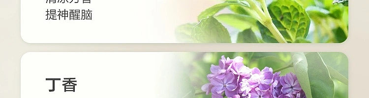 netflix-thai-herbal-cream-50g-29
