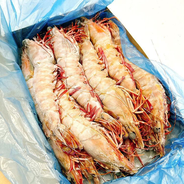 austfish-export-grade-wild-raw-tiger-prawns-u6-whole-carton-about-15kg-6