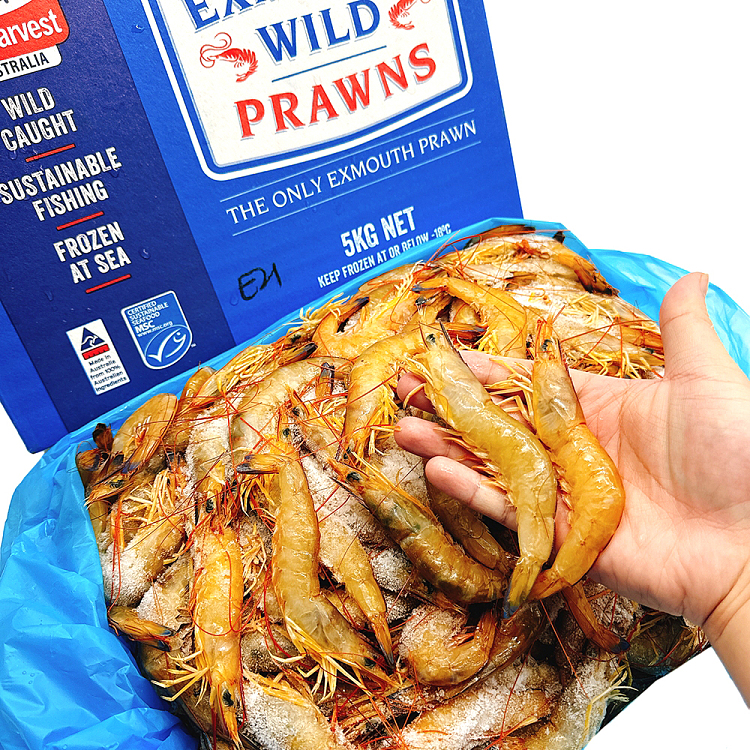 frozen-exmouth-wild-prawns-u2130-whole-case-approx-5kg-1