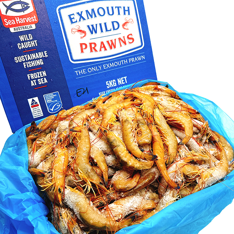 frozen-exmouth-wild-prawns-u2130-whole-case-approx-5kg-3