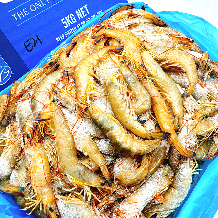 frozen-exmouth-wild-prawns-u2130-whole-case-approx-5kg-4