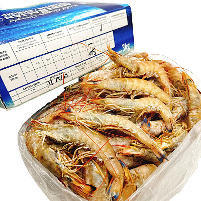 【冻】Ocean Australia 野生基围虾 U10-20 整箱 约3kg