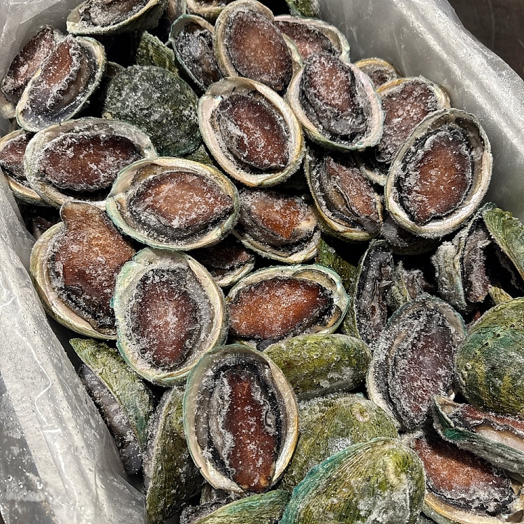 frozen-tas-custom-frozen-black-gold-abalone-8-10-heads-latest-production-date-about-1kg-2