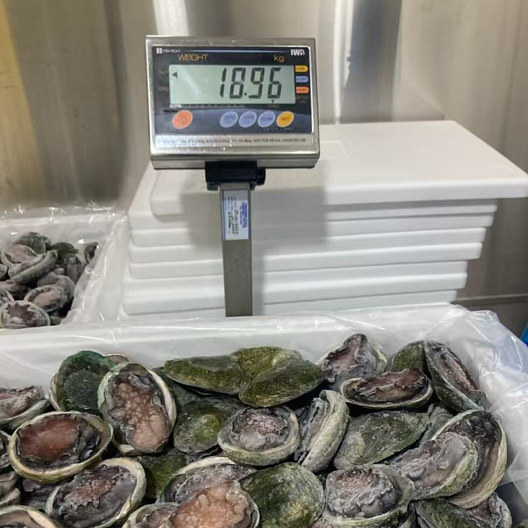 frozen-tas-custom-frozen-black-gold-abalone-8-10-heads-latest-production-date-about-1kg-3