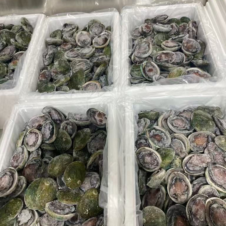 frozen-tas-custom-frozen-black-gold-abalone-8-10-heads-latest-production-date-about-1kg-4