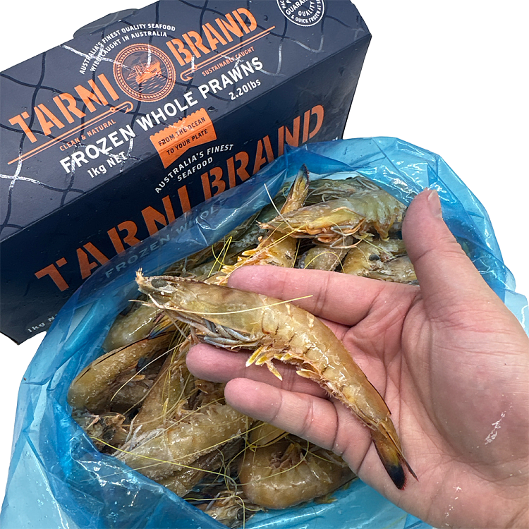 tarnibrand-sashimi-grade-kingrawprawnsize16201kg-2