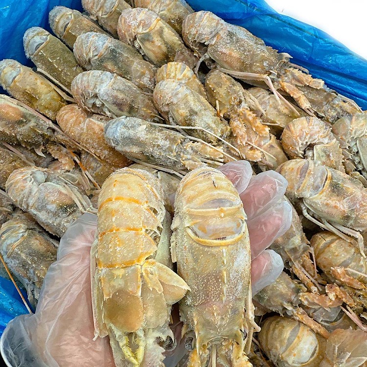 frozen-15pcs-of-deep-sea-caught-super-sized-crayfish-about-1kg-1