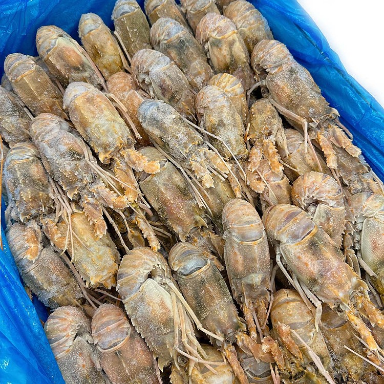 frozen-15pcs-of-deep-sea-caught-super-sized-crayfish-about-1kg-2