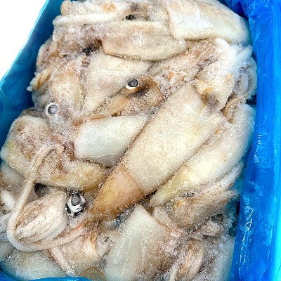 【整箱】深海捕捞 鱿鱼 Squid 约4kg