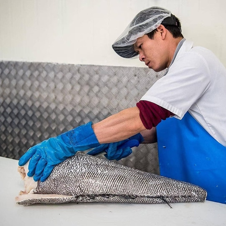 frozeng51-antarctic-toothfish-steak-about-500g-5