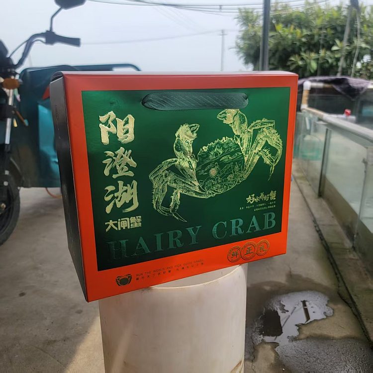 yangcheng-lake-hairy-crab-6pcs-male-53-57pcs-female-38-42pcs-2