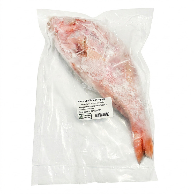 frozenwhole-local-wild-red-standing-fish-saddletailsnapper-not-cleaned-about-600-800g-2