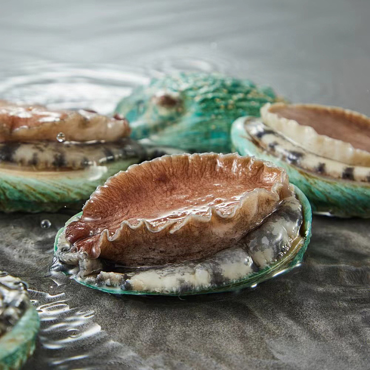 freshshing-kee-raw-fresh-tasmanian-jade-abalone-3pcs-per-serving-about-60-70g-each-1