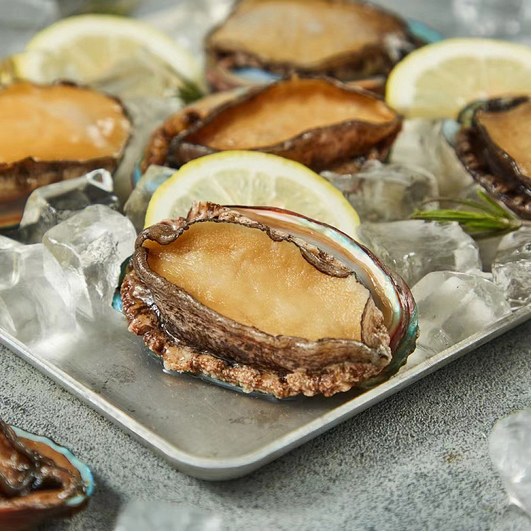 freshshing-kee-raw-fresh-tasmanian-jade-abalone-3pcs-per-serving-about-60-70g-each-2