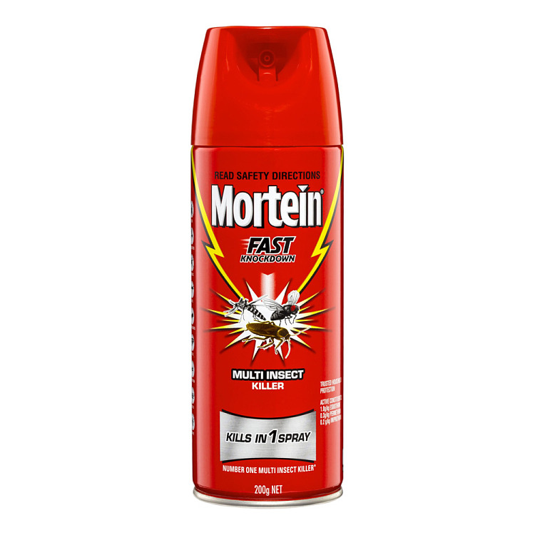 mortein-insecticide-spray-rapid-knockdown-200g-1