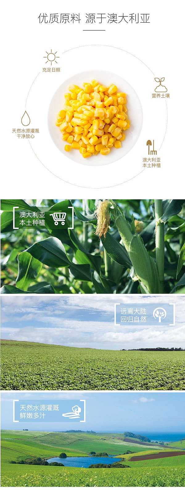 edgell-canned-corn-kernels-420g-3