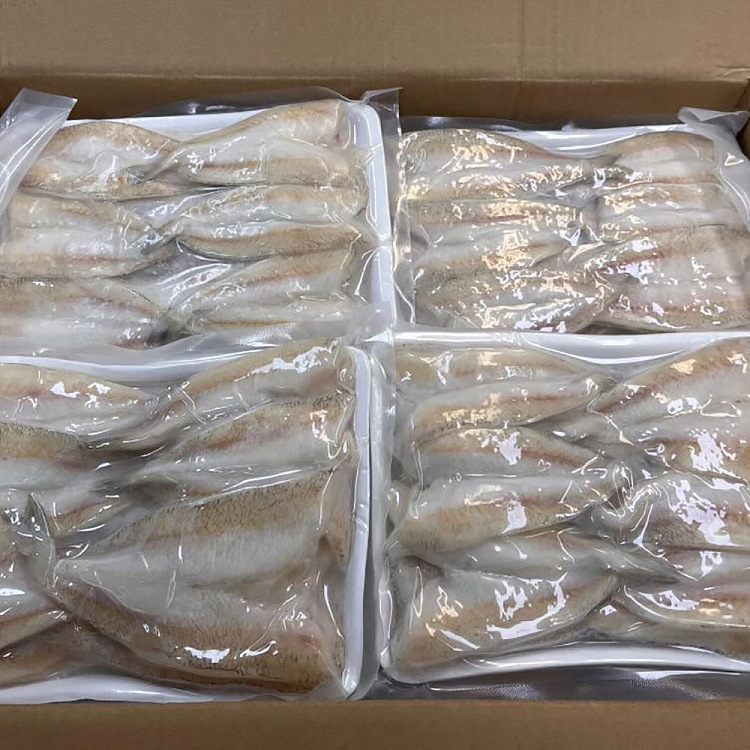 frozen-galpak-cod-fillet-500g-2