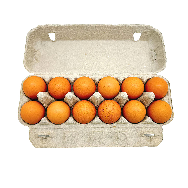 megglesfarm-walking-eggs-xl-extra-large-12pcs700g-2