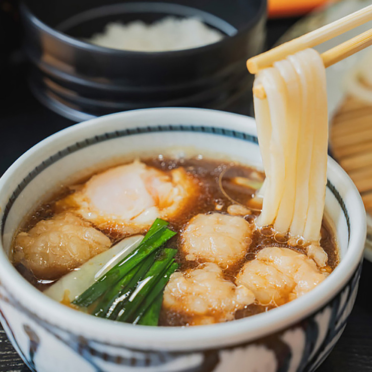 j-basket-japanese-frozen-udon-5pcs125kg-2
