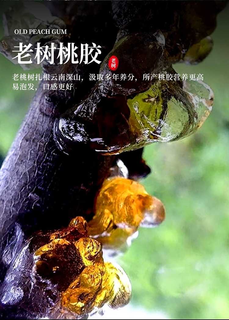premium-grade-peach-gum-100g-by-qian-cheng-2