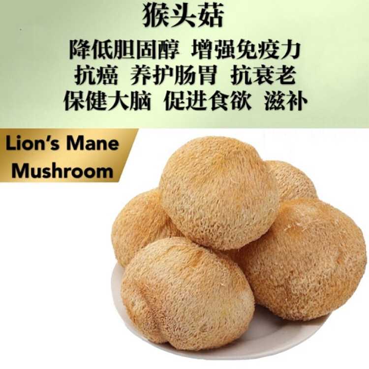 heng-hui-spleen-nourishing-stomach-monkey-head-mushroom-200g-2