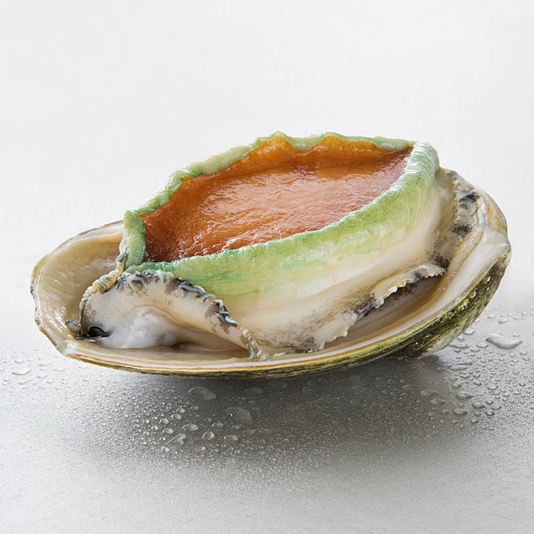 yumbah-tiger-abalone-7-heads-whole-box-1kg-2
