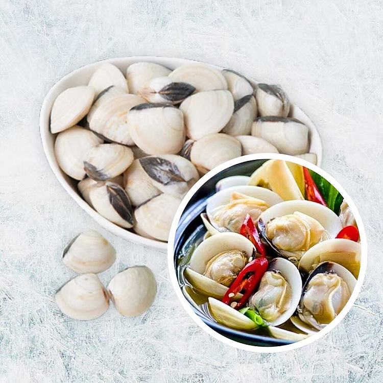 frozen-iqf-whole-white-clam-size2040900g-1