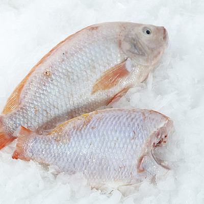 【冻】红罗非鱼（去头去鳞去内脏） Red  Tilpia 约800-900g