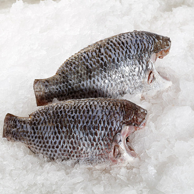 【冻】罗非鱼（去头去鳞去内脏）Cleaned Black Tilapia 约900-1100g