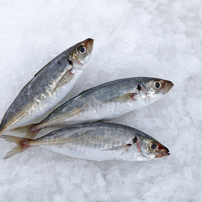 【冻】马鲛鱼 Indian Mackeral 约900g