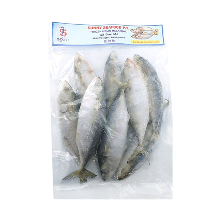 frozenmackerel-indianmackeral-about-900g-2