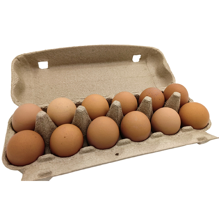 freshsunrisecaged-eggs-extralarge12pcs-700g-3