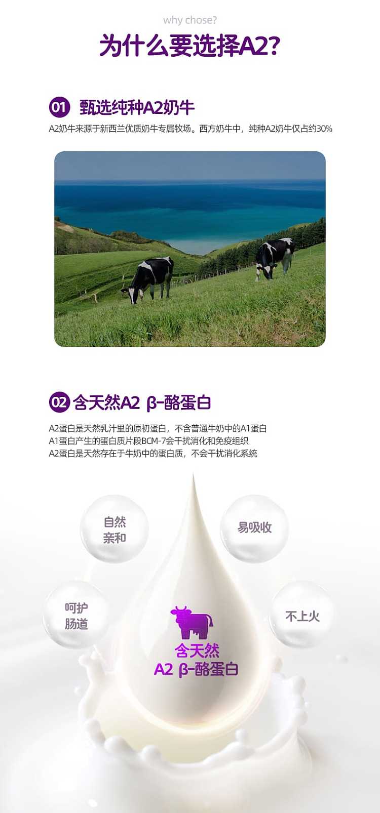 a2-platinum-stage-1-infant-formula-milk-powder-2